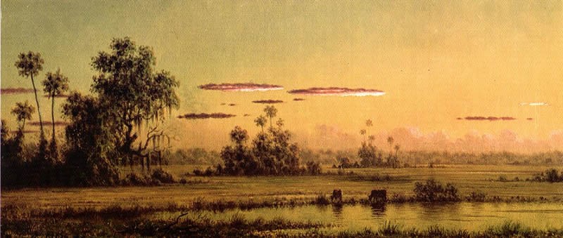 The Great Florida Sunset canvas Dream-art Oil painting Martin Johnson Heade 