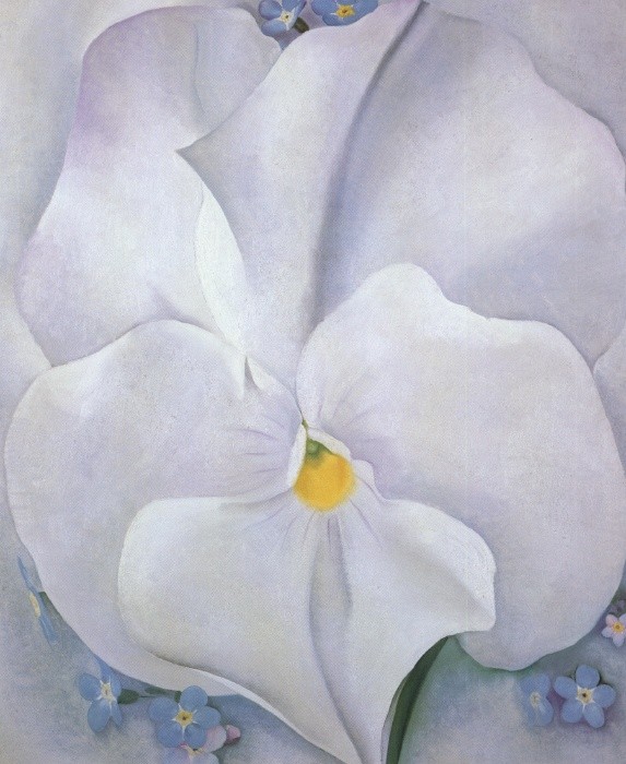 Georgia O'Keeffe White Pansy Painting | Best Paintings For Sale