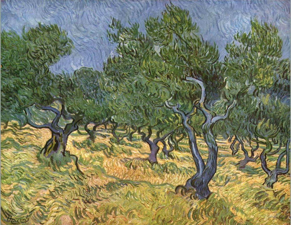 Vincent van Gogh Olive grove I Painting | Best Paintings For Sale