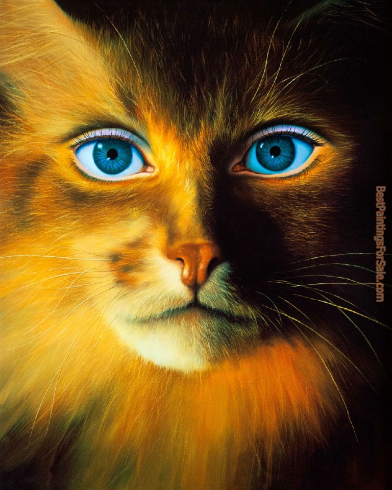 Cat 29