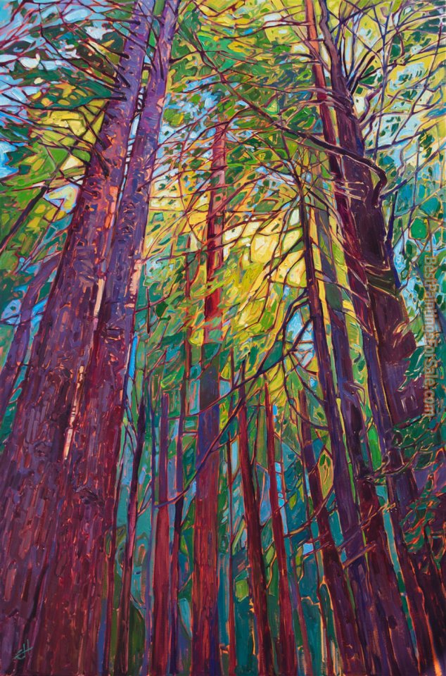2011 Redwood Trees painting